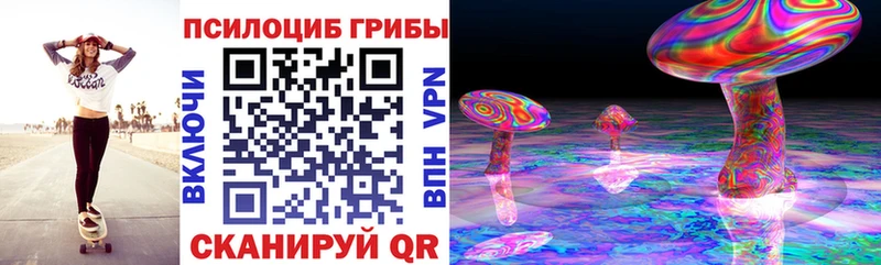 Псилоцибиновые грибы GOLDEN TEACHER Кириллов